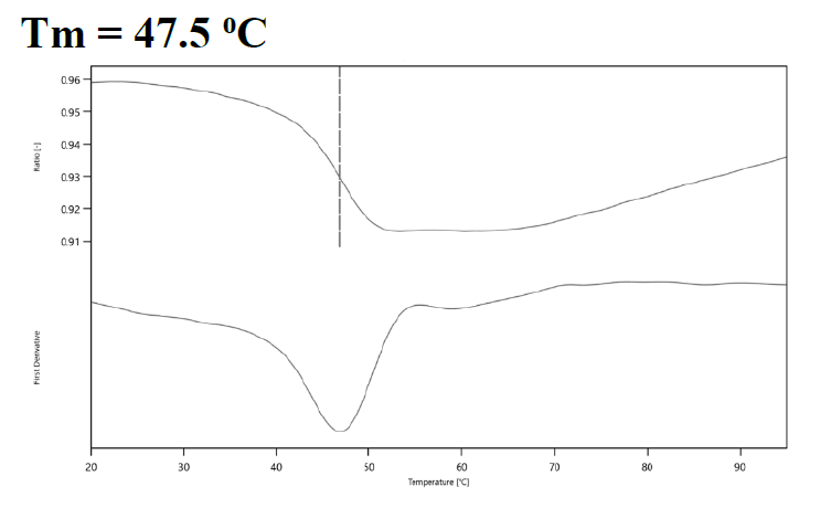 CDK4 Protein