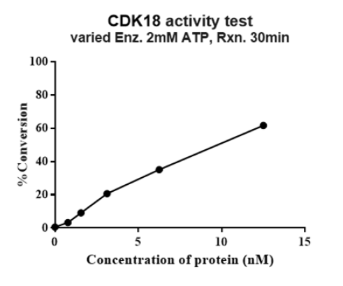 CDK18/Cyclin Y Protein