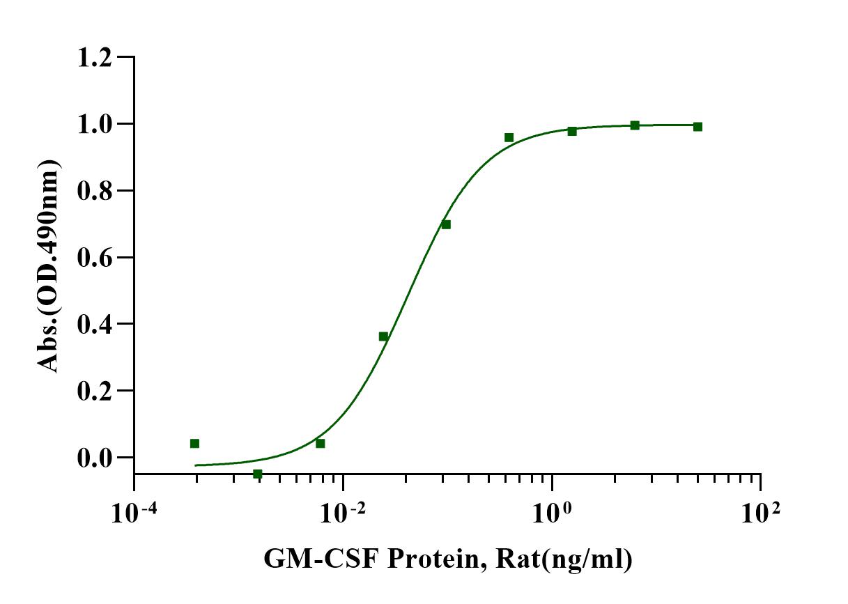 GM-CSF Protein, Rat