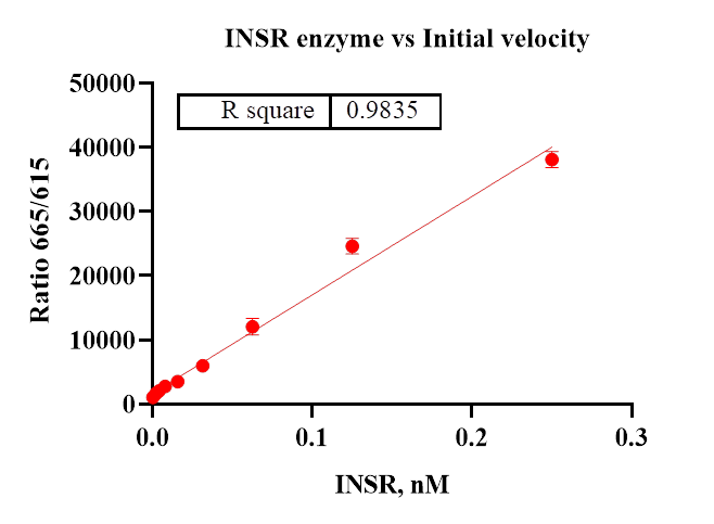 INSR Protein