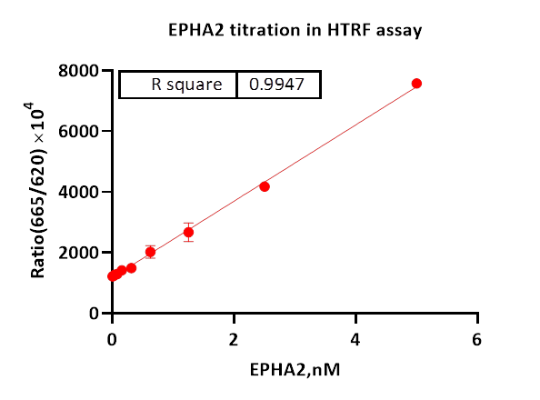 EPHA2 Protein