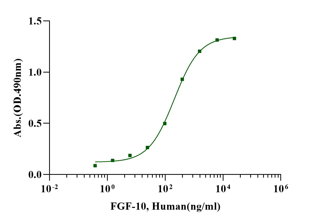 FGF-10 Protein, Human