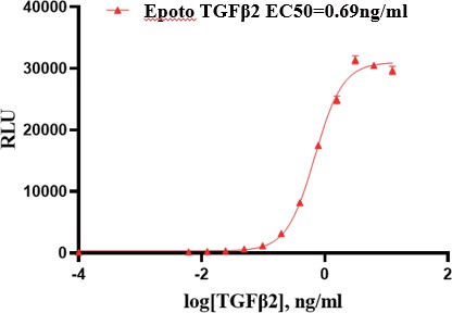 TGF-β2 Protein, Human