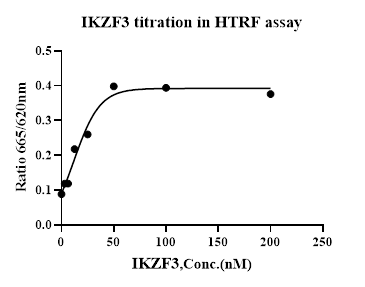 Human IKZF3 Protein