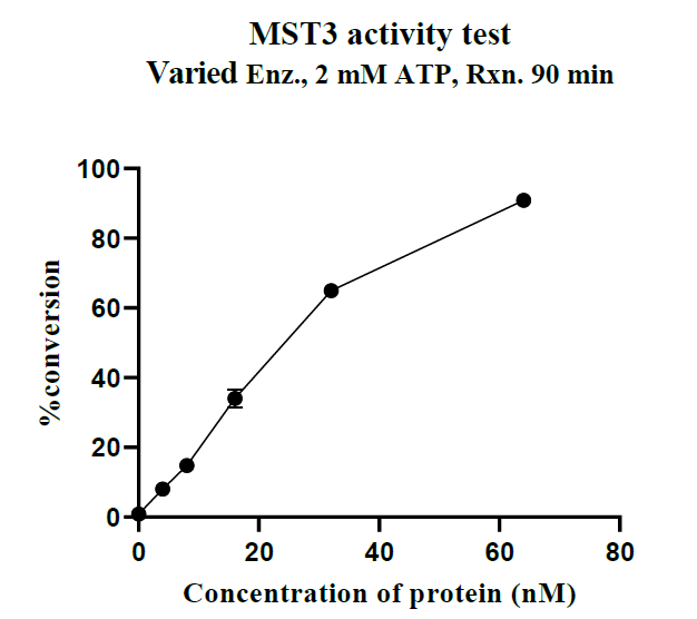 MST3 GST Tag Protein, Human