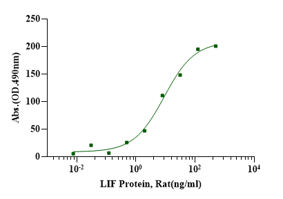 LIF Protein, Rat