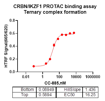 Human IKZF1 Protein
