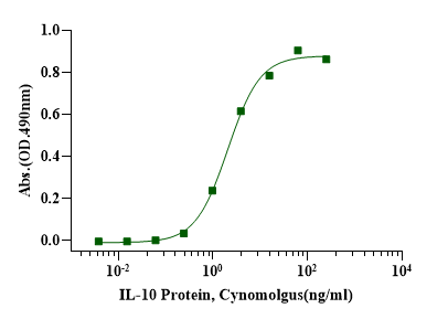 IL-10 Protein, Cynomolgus