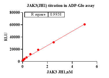 JAK3(JH1) Protein
