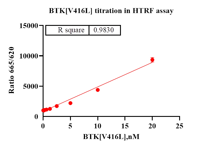 BTK[V416L] Protein
