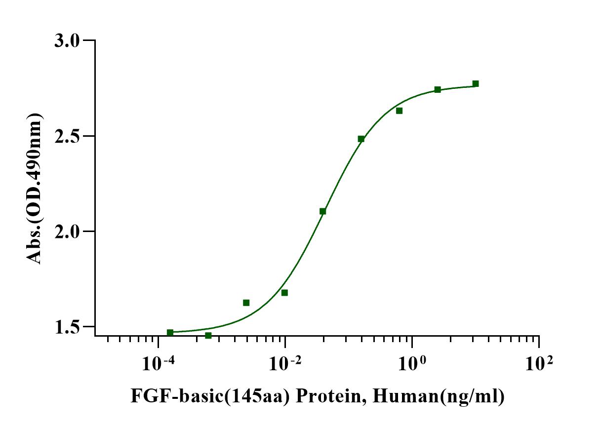 FGF-basic(145aa) Protein, Human