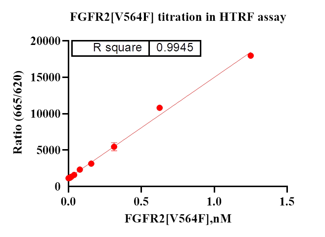 FGFR2[V564F] Protein