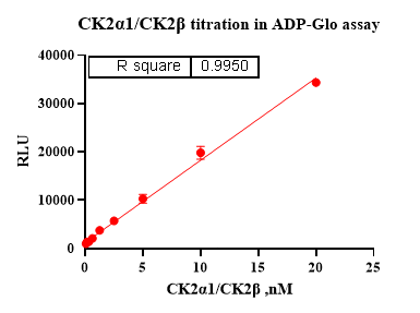 CK2α1/CK2β Protein