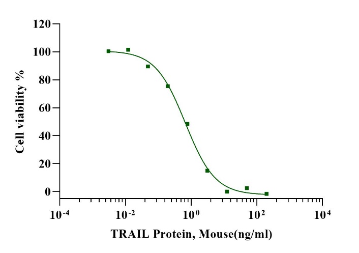 TRAIL Protein, Mouse  