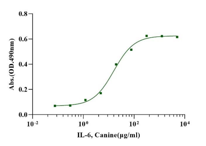 IL-6 Protein, Canine