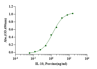 IL-10 Protein, Porcine