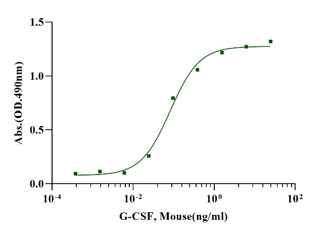 G-CSF Protein, Mouse