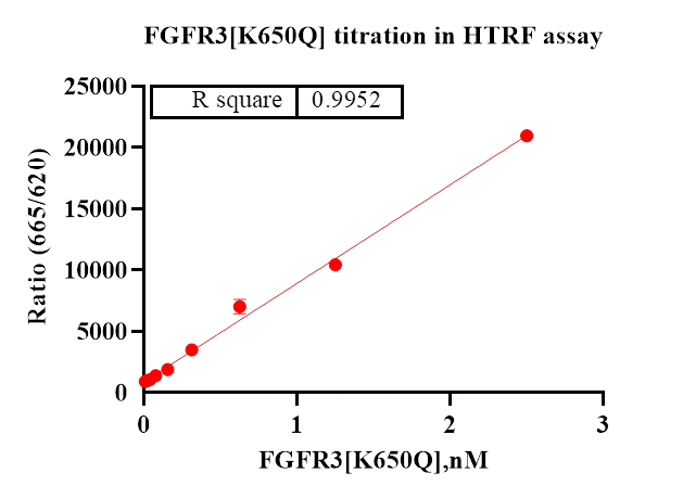 FGFR3[K650Q] Protein