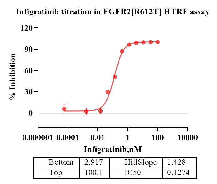 FGFR2[R612T] Protein