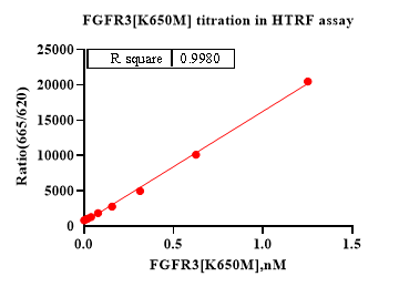 FGFR3[K650M] Protein