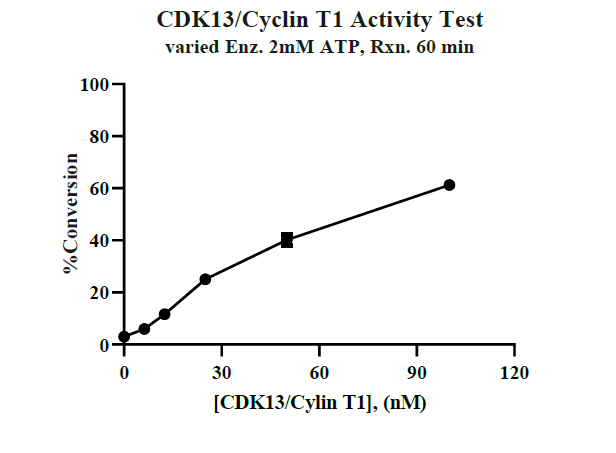 CDK13/Cyclin T1 Protein