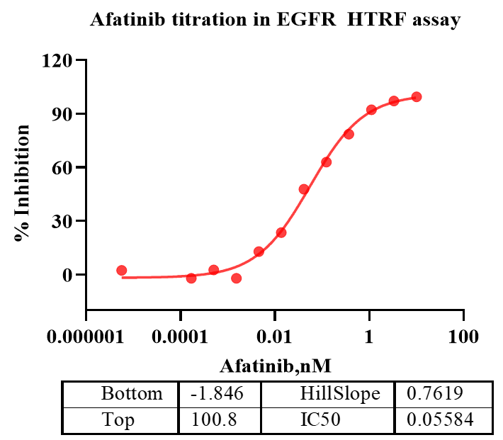 EGFR Protein