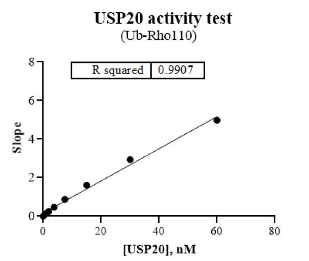 USP20 Protein