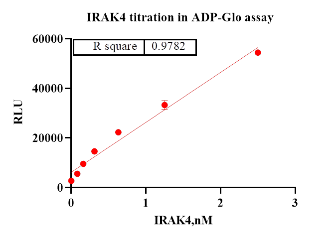 IRAK4 GST Tag Protein, Human