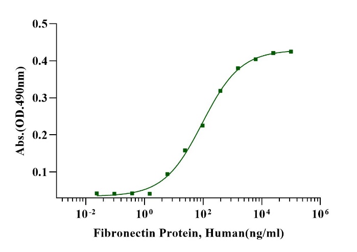 Fibronectin-CH296 Protein, Human