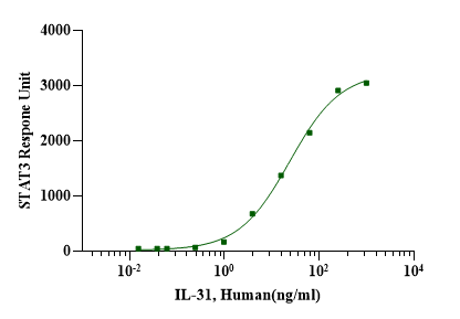  IL-31 Protein, Human