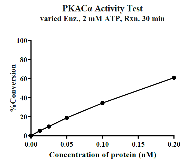 PRKACA(PKACα) GST Tag Protein, Human