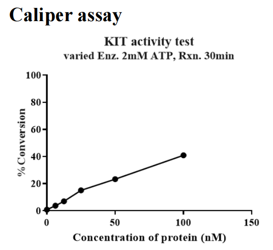 KIT Strep Tag Protein, Human