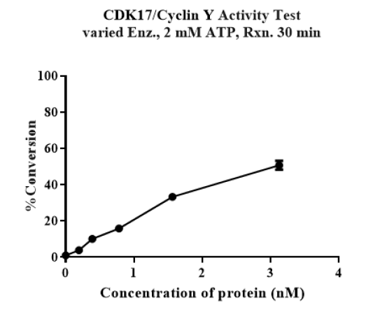 CDK17/Cyclin Y Protein