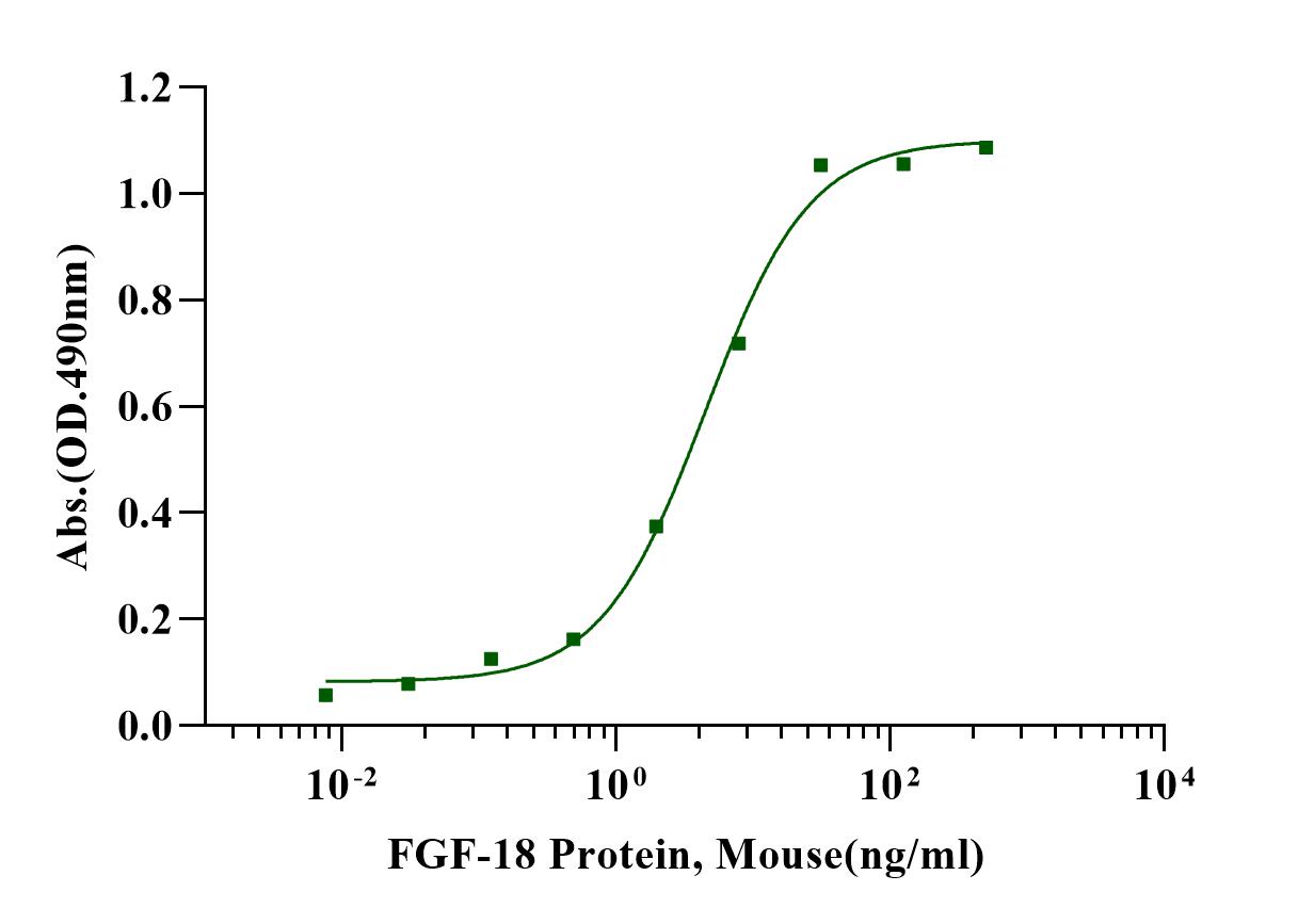 FGF-18 Protein, Mouse