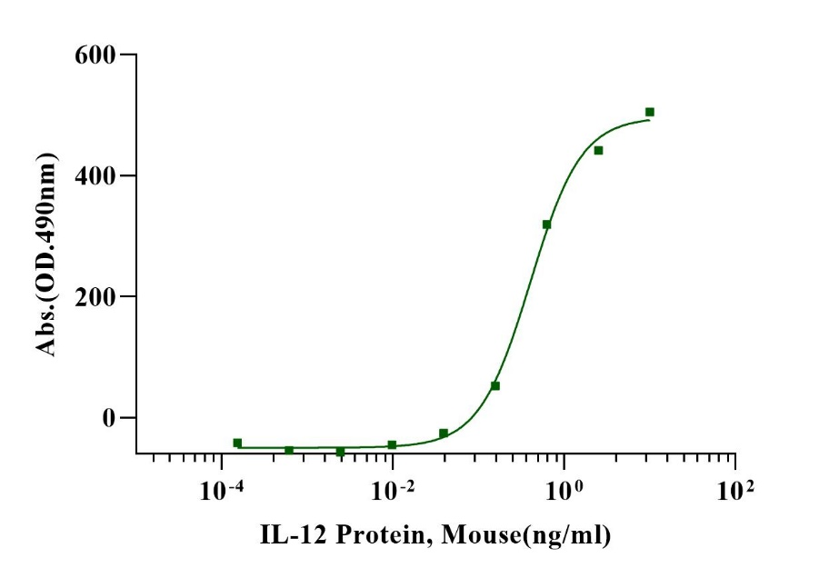 IL-12 Protein,Mouse