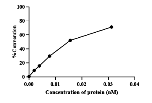 CDK1/Cyclin E2 Protein