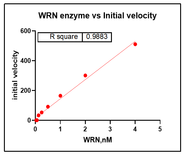 WRN (500-946) Protein,Human