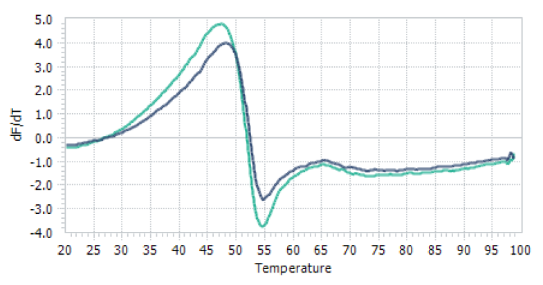 USP16 Protein