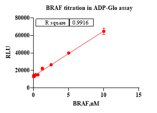 BRAF GST Tag Protein