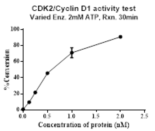 CDK2/Cyclin D1 Protein