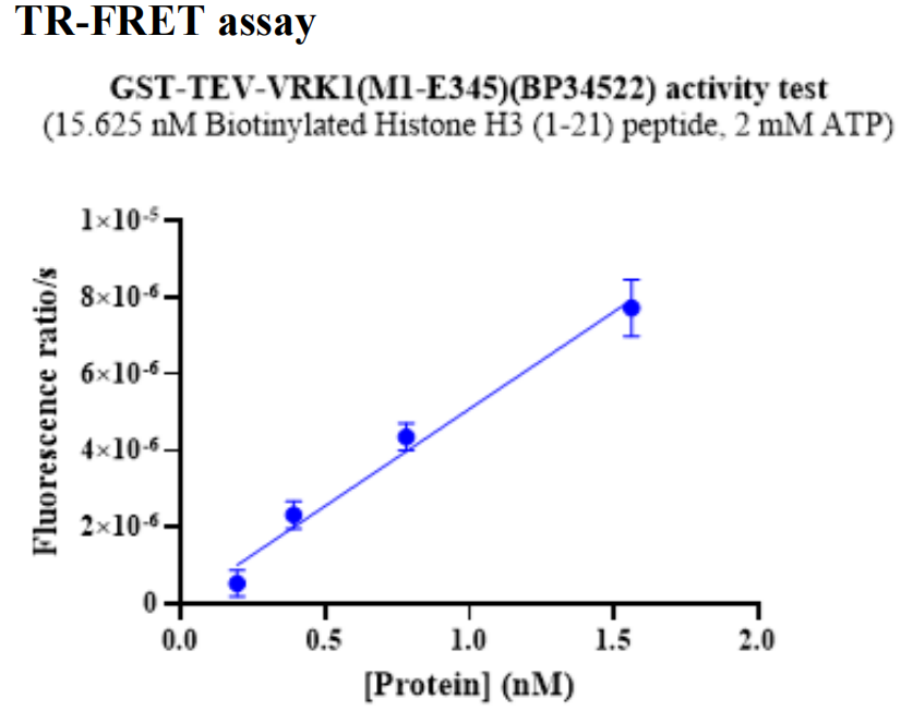 VRK1 GST Tag Protein, Human