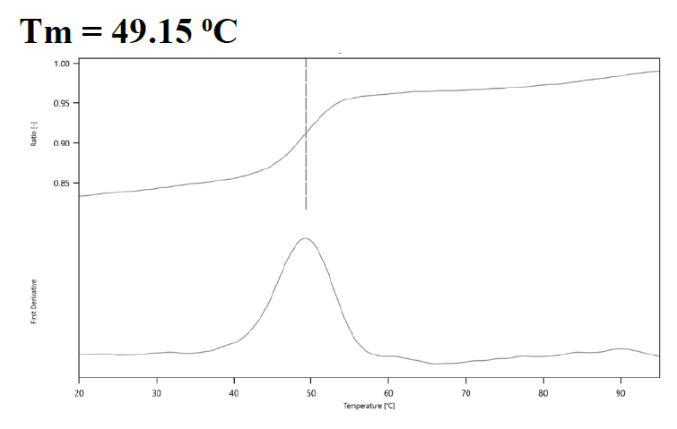 CDK2 Protein