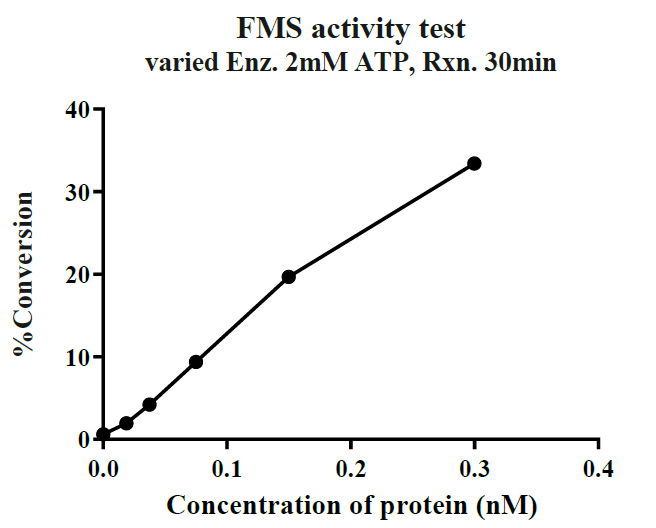 CSF1R(FMS) GST Tag Protein, Human