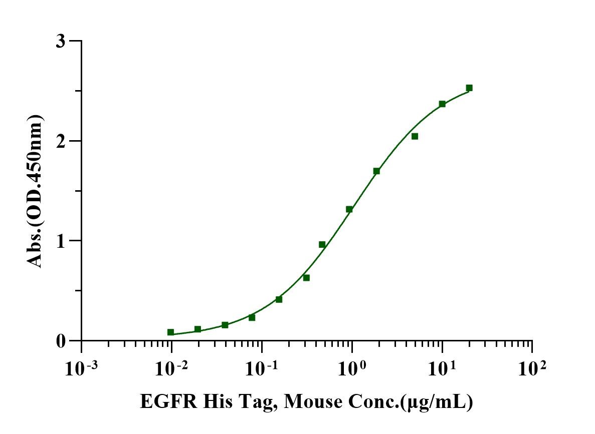 EGFR His Tag Protein, Mouse