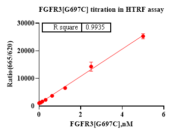 FGFR3[G697C] Protein