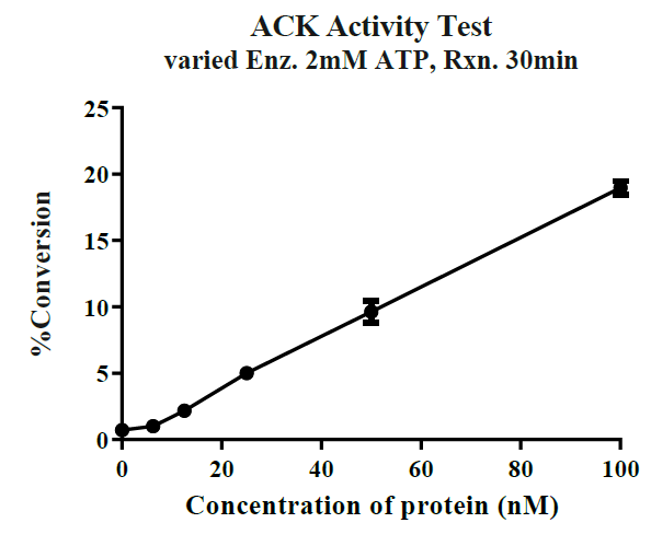 ACK GST Tag Protein, Human