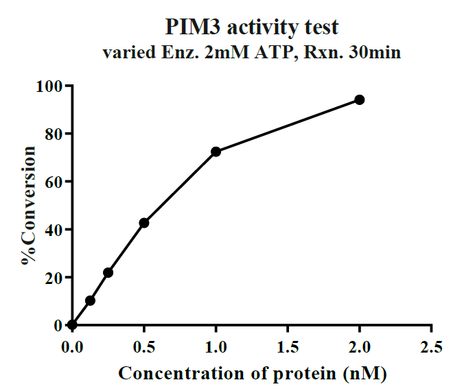 PIM3 GST Tag Protein, Human