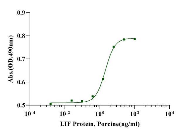 LIF Protein, Porcine (Animal Free)
