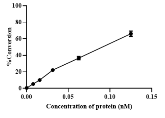 CDK1/Cyclin A2 Protein