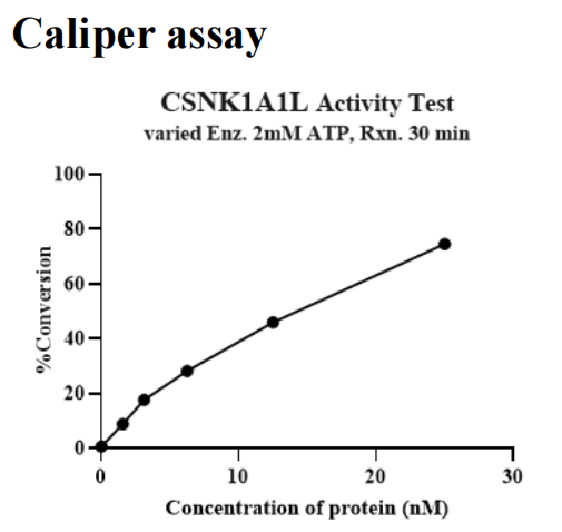 CSNK1A1L His&GST Tag Protein, Human